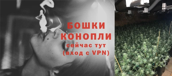 индика Балабаново