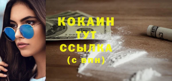 индика Балабаново